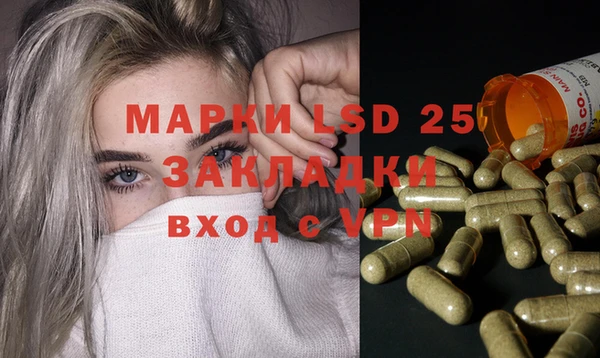 молекула духа Арсеньев
