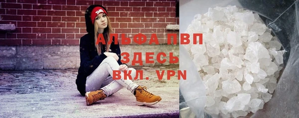 молекула духа Арсеньев