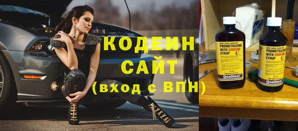 молекула духа Арсеньев