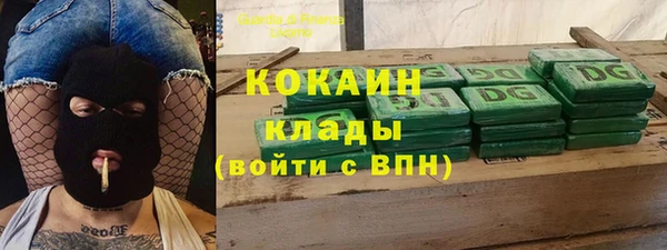 молекула духа Арсеньев