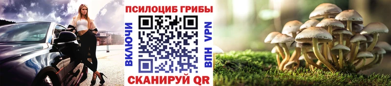 Псилоцибиновые грибы Cubensis  kraken зеркало  Калтан 